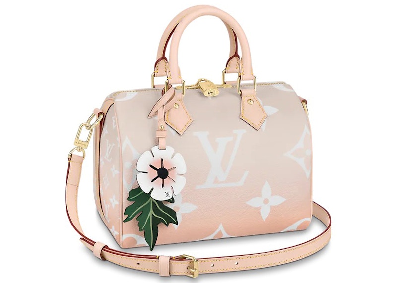 Louis Vuitton Speedy Bandouliere Gradient Pastel 25 Mist Gray