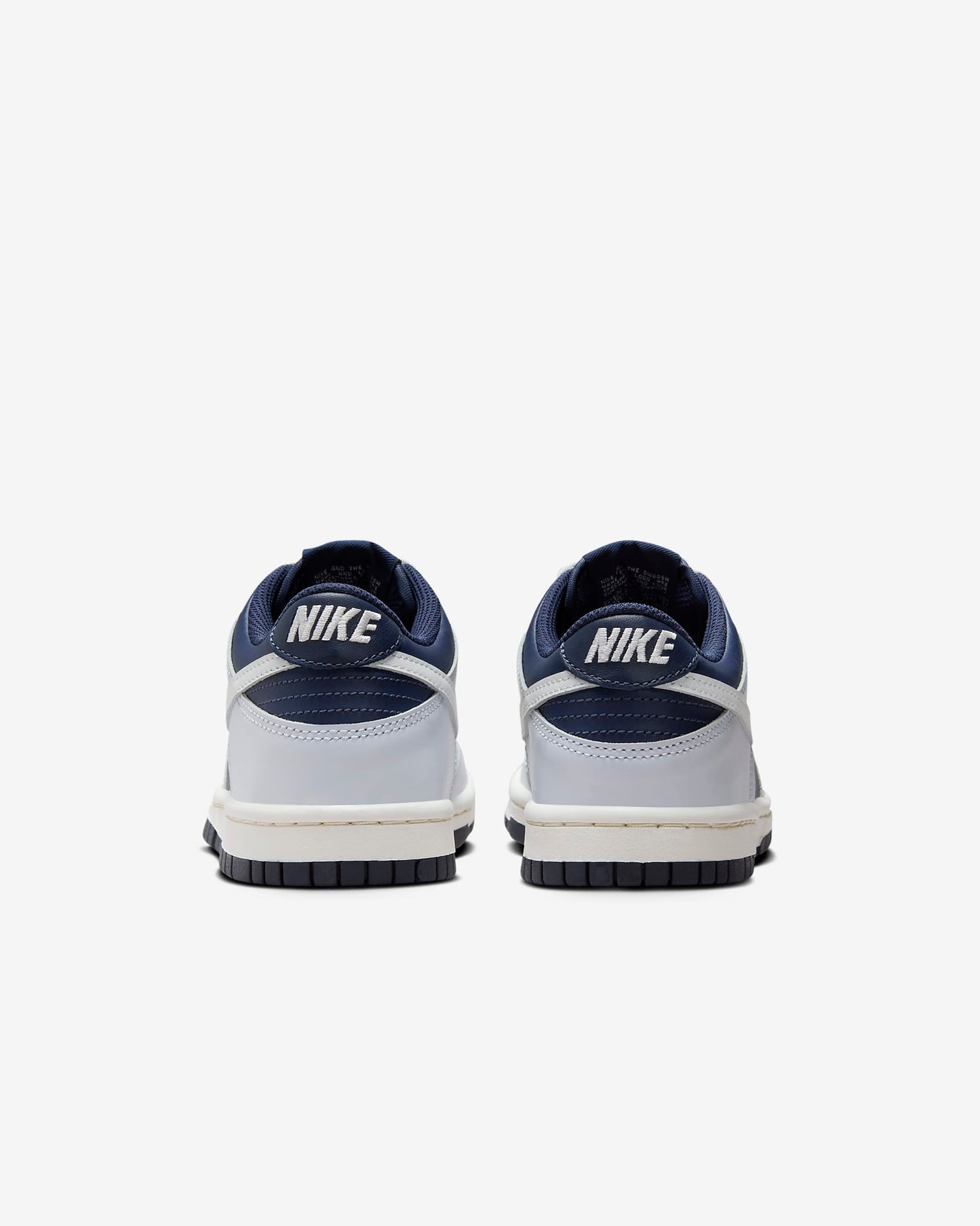 Nike Dunk Grey Shoes