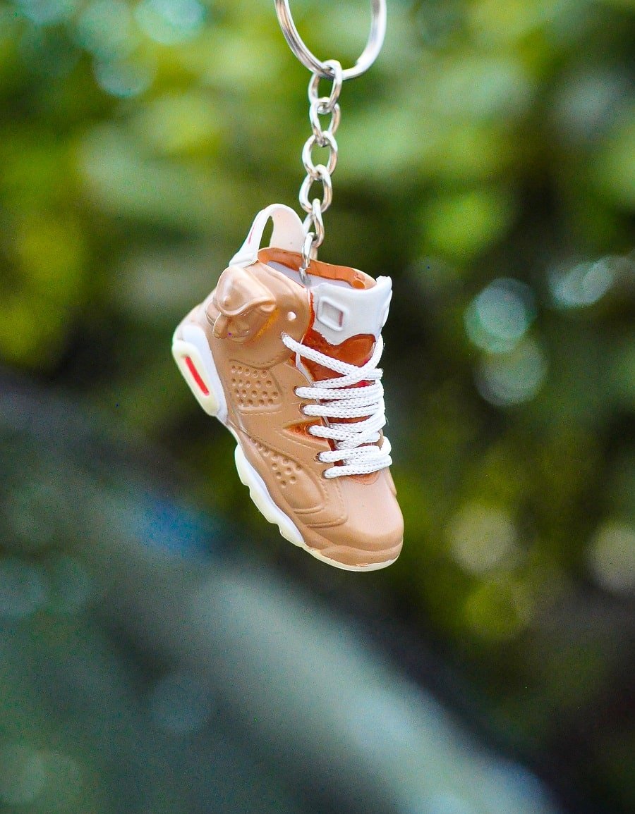 3D Sneaker Keychain Travis Scott AJ6